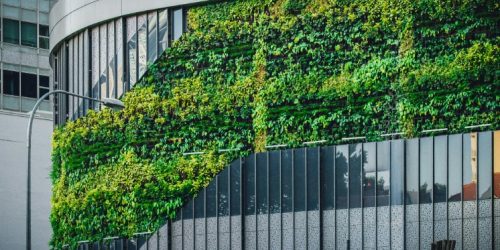 Bâtiment efficace énergiquement avec verdure