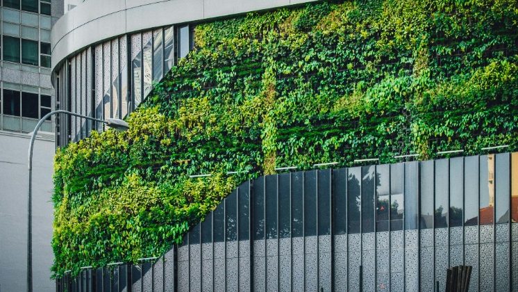 Bâtiment efficace énergiquement avec verdure